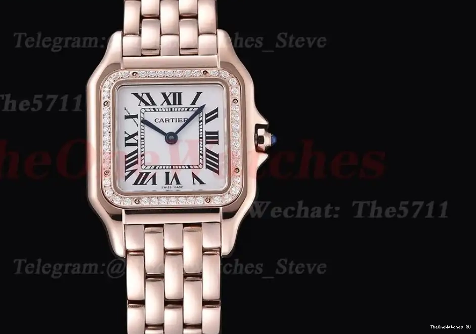 8848F White Swiss De 27mm Dia Dial RG Secrete RG Qtz Ladies Panthere 0517